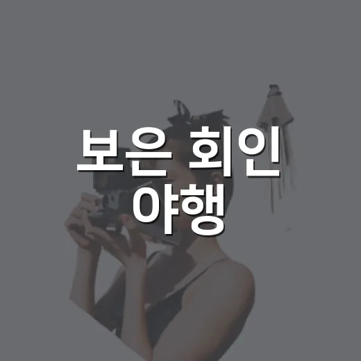 보은 회인 야행, 역사와 문화가 빛나는 밤길