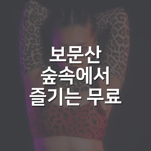 보문산 숲속에서 즐기는 무료 음악회