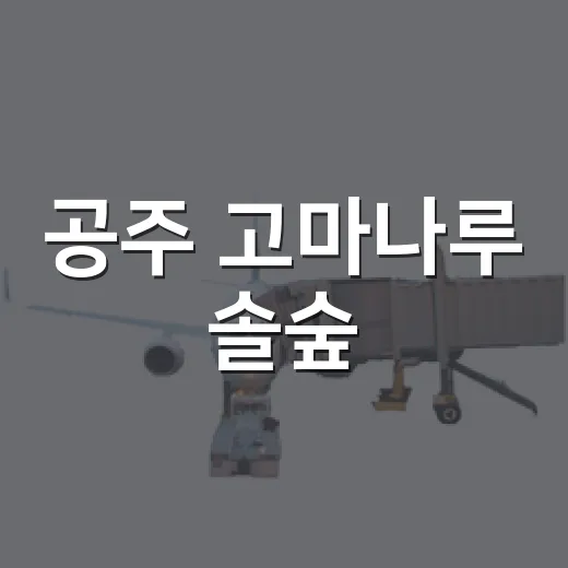 공주 고마나루 솔숲, 역사와 자연이 어우러진 명소