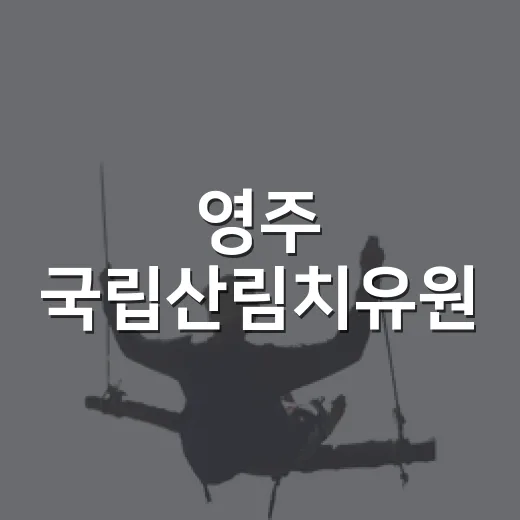 영주 국립산림치유원, 온 가족 힐링 명소