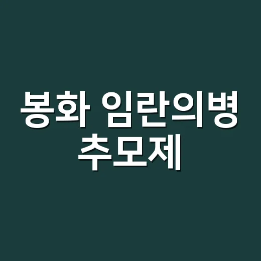 봉화 임란의병 추모제, 나라사랑의 현장