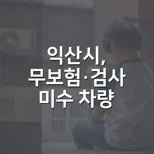 익산시, 무보험·검사 미수 차량 대대적 정리