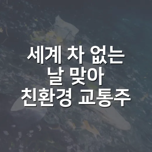 세계 차 없는 날 맞아 친환경 교통주간 운영