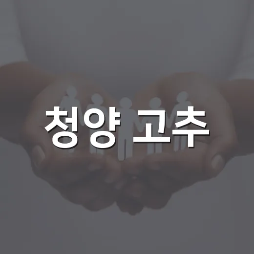 청양 고추·구기자 축제, 11만명 열기 속 성료