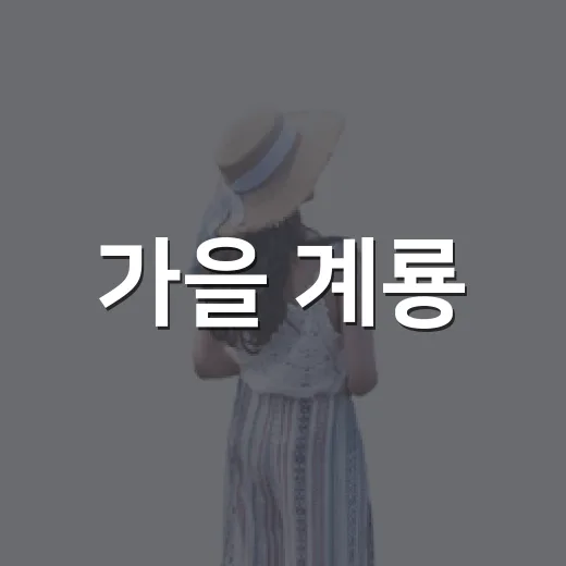 가을 계룡, 숲과 병영 체험의 특별한 하루