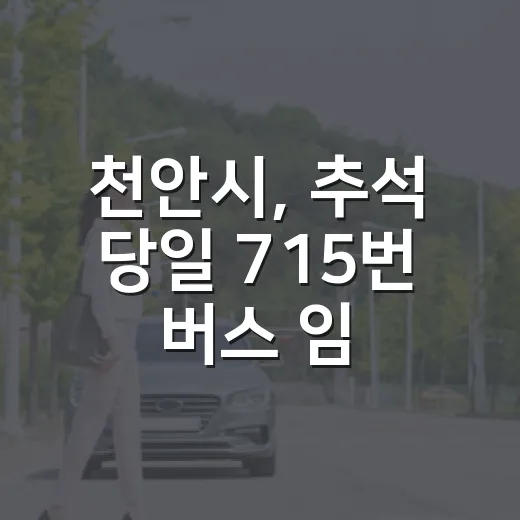천안시, 추석 당일 715번 버스 임시 증편