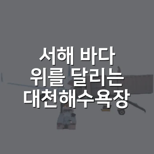 서해 바다 위를 달리는 대천해수욕장 스카이바이크