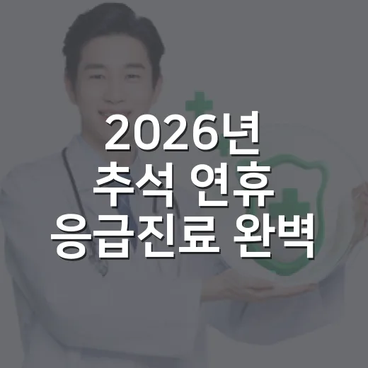 2026년 추석 연휴 응급진료 완벽 안내