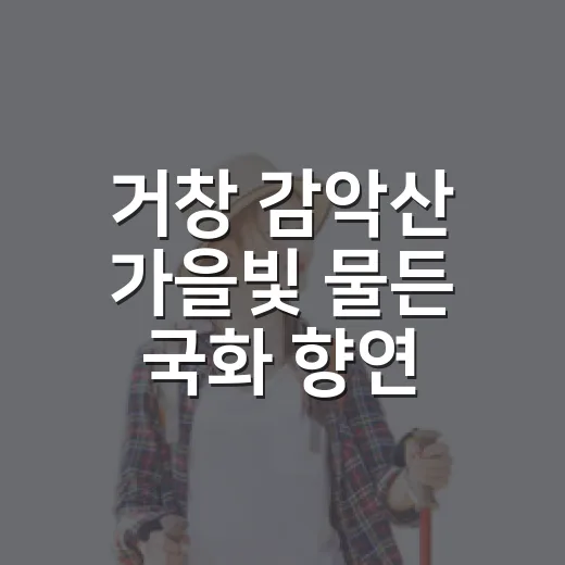 거창 감악산 가을빛 물든 국화 향연