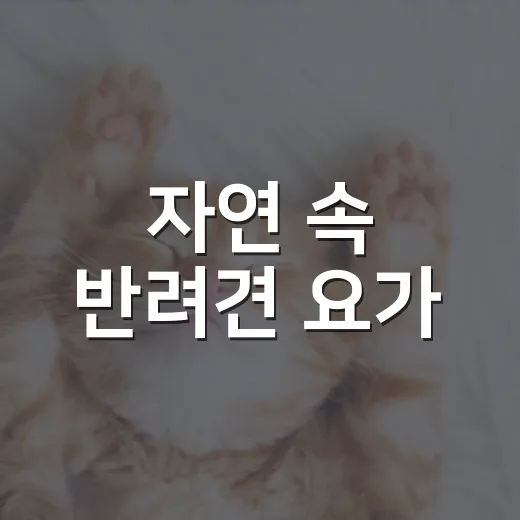 자연 속 반려견 요가·도가 클래스 모집