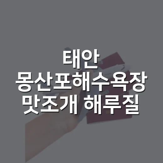 태안 몽산포해수욕장 맛조개 해루질 완벽 가이드