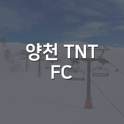 양천 TNT FC, K5리그 홈경기 축제 개최