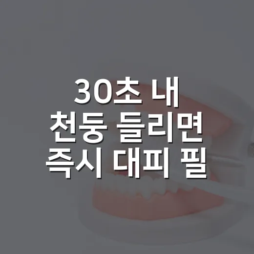 30초 내 천둥 들리면 즉시 대피 필수