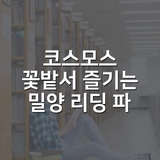 코스모스 꽃밭서 즐기는 밀양 리딩 파티