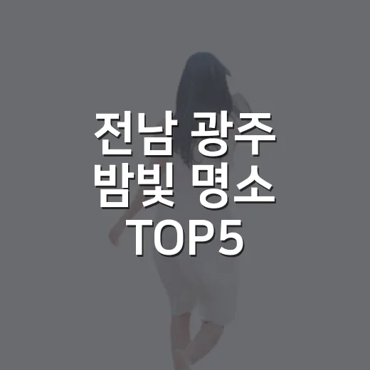 전남 광주 밤빛 명소 TOP5