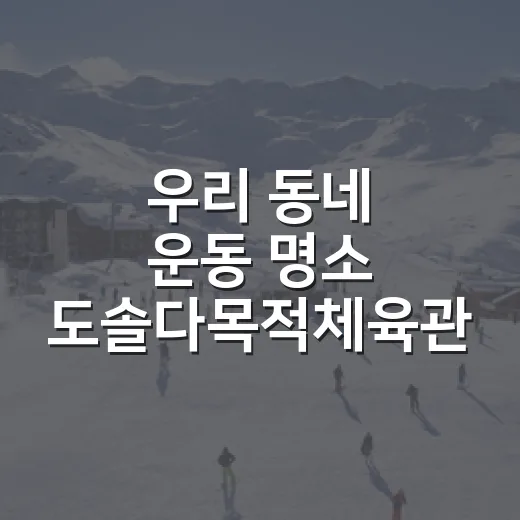 우리 동네 운동 명소 도솔다목적체육관