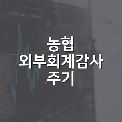 농협 외부회계감사 주기, 자산 규모별로 어떻게 달라지나