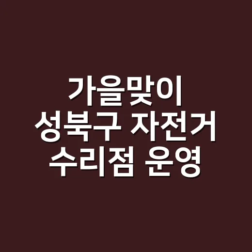 가을맞이 성북구 자전거 수리점 운영