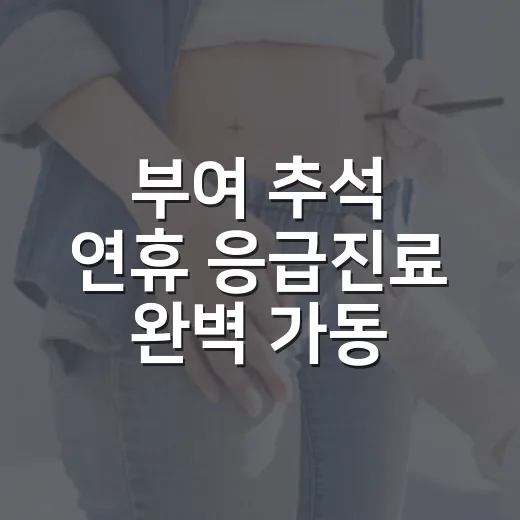 부여 추석 연휴 응급진료 완벽 가동