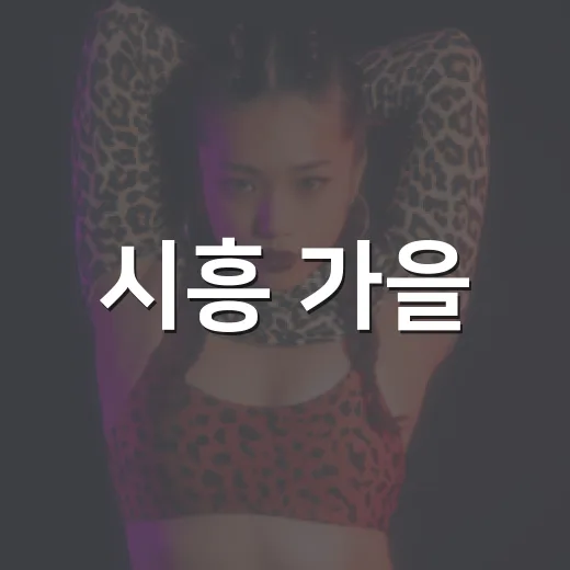 시흥 가을, 야외 문화공연으로 물들다