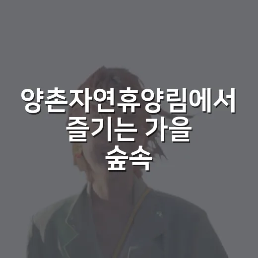 양촌자연휴양림에서 즐기는 가을 숲속 힐링