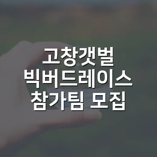 고창갯벌 빅버드레이스 참가팀 모집 시작