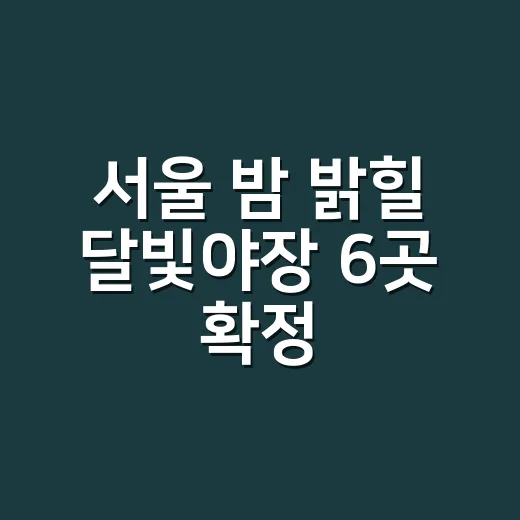 서울 밤 밝힐 달빛야장 6곳 확정