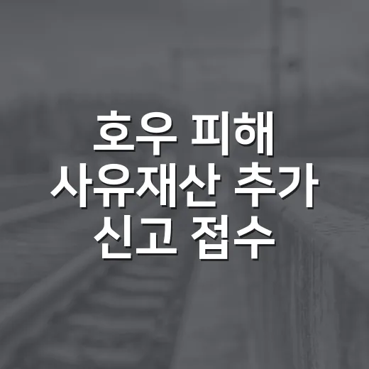 호우 피해 사유재산 추가 신고 접수 안내