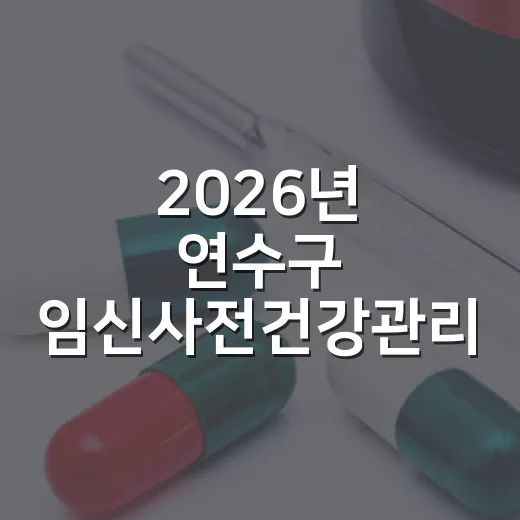 2026년 연수구 임신사전건강관리 지원사업 안내