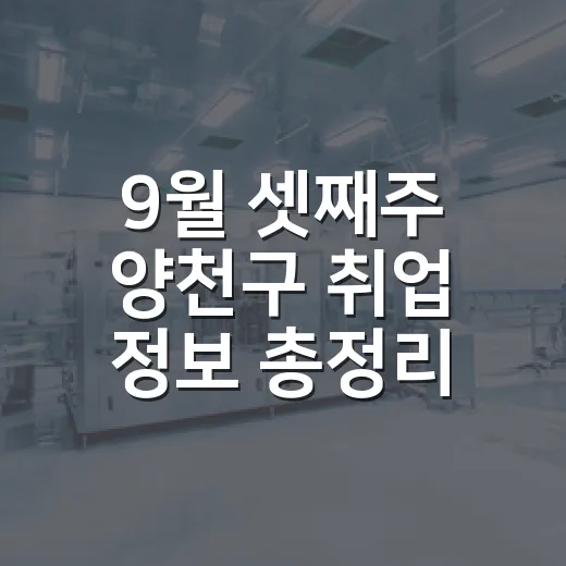 9월 셋째주 양천구 취업 정보 총정리