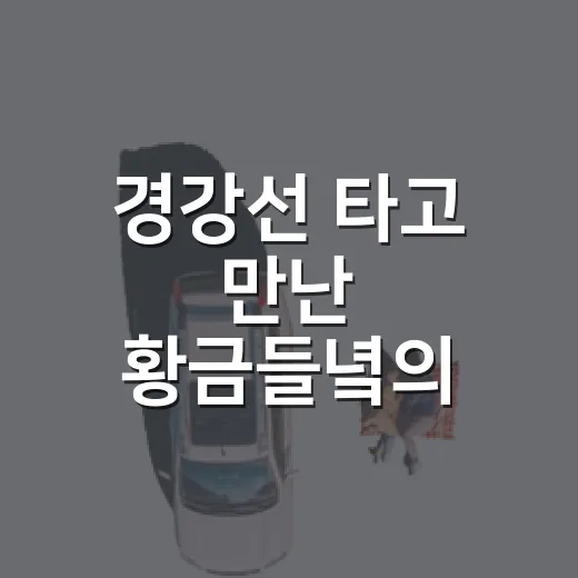 경강선 타고 만난 황금들녘의 가을 축제