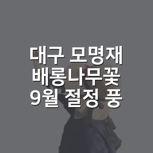 대구 모명재 배롱나무꽃 9월 절정 풍경