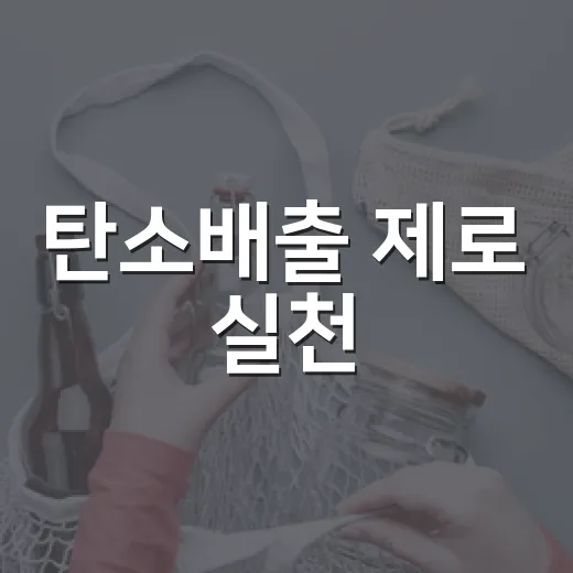 탄소배출 제로 실천, 친환경 교통 주간