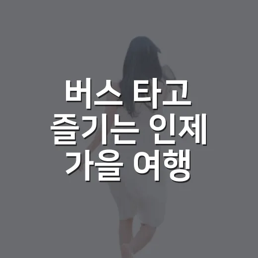 버스 타고 즐기는 인제 가을 여행