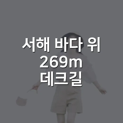 서해 바다 위 269m 데크길, 원산도 소록도 선셋전망대
