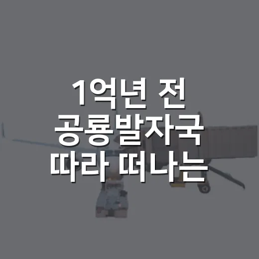 1억년 전 공룡발자국 따라 떠나는 보령 맨삽지 여행