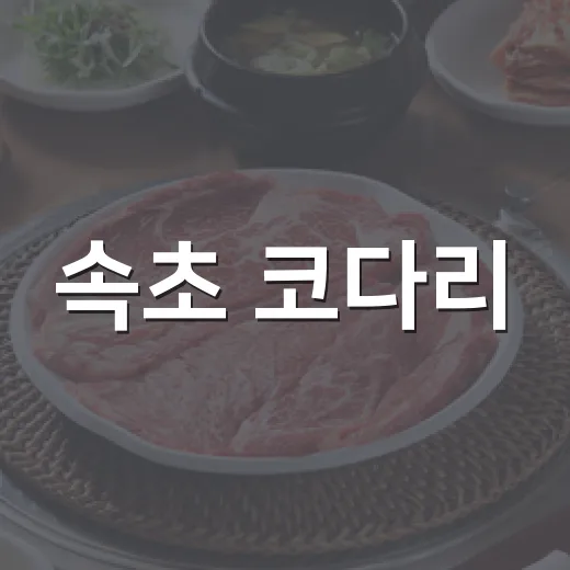 속초 코다리, 쫀득한 바다 맛의 비밀
