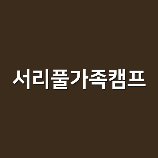 서리풀가족캠프, 가족과 함께한 특별한 추억