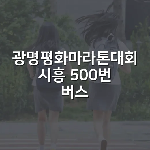 광명평화마라톤대회 시흥 500번 버스 우회운행