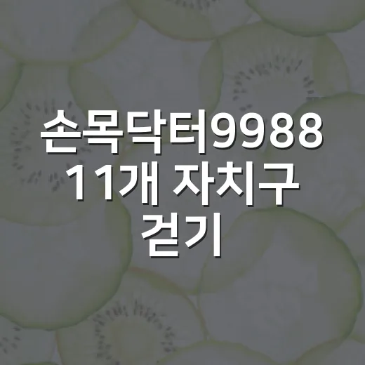 손목닥터9988 11개 자치구 걷기 챌린지 개시