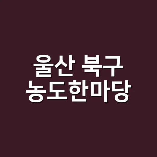 울산 북구 농도한마당, 풍성한 농산물과 전통 체험의 장