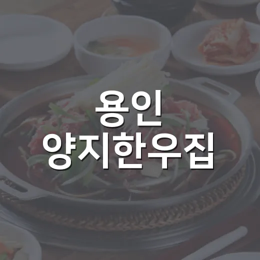용인 양지한우집, 조아용 맛집 선정
