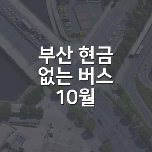 부산 현금 없는 버스 10월 시범운행 시작