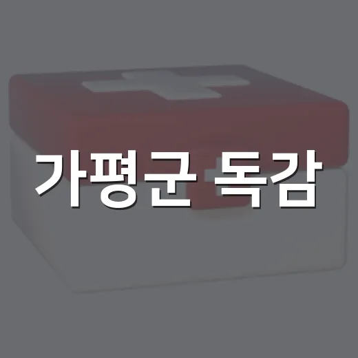 가평군 독감·코로나19 예방접종 철저 안내