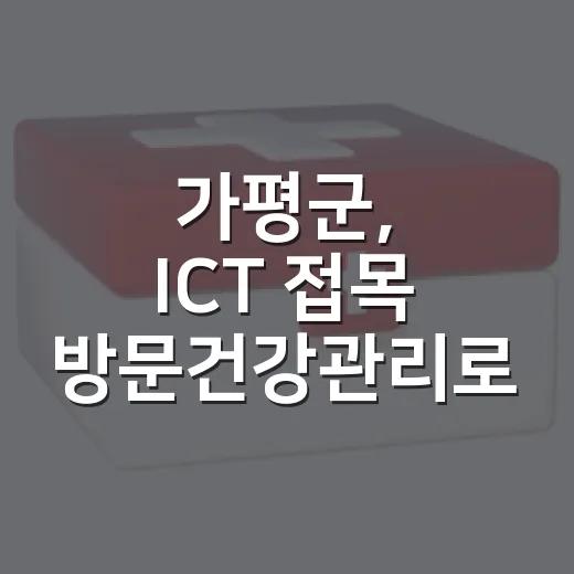 가평군, ICT 접목 방문건강관리로 어르신 건강 지킨다