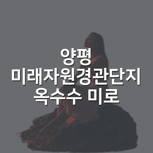 양평 미래자원경관단지 옥수수 미로 개장