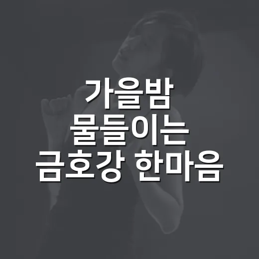 가을밤 물들이는 금호강 한마음 축제