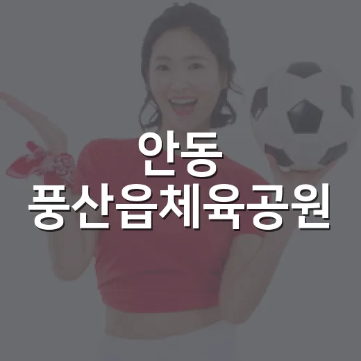 안동 풍산읍체육공원, 자연과 함께하는 다기능 체육 공간