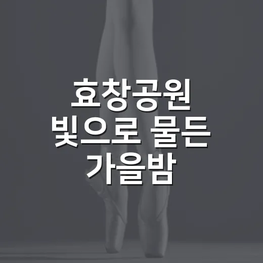 효창공원 빛으로 물든 가을밤