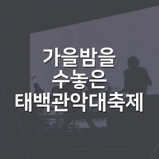 가을밤을 수놓은 태백관악대축제